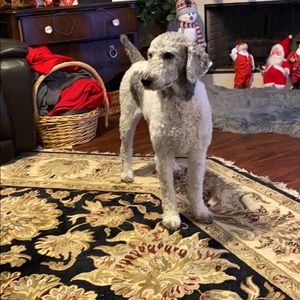 Meet your Posher, Jennifer